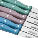 421.webp