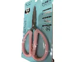 Frame 250.webp