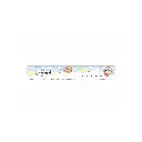169.webp