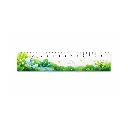1154.webp
