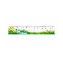 1157.webp