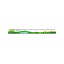1156.webp