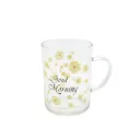Glass Cup